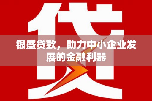 南涧银盛贷款，助力中小企业发展的金融利器