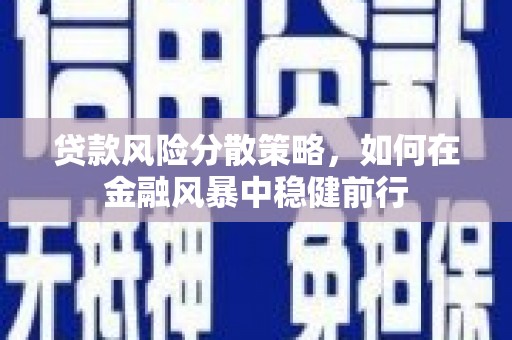南涧贷款风险分散策略，如何在金融风暴中稳健前行