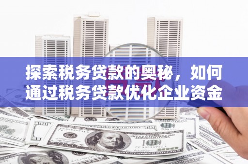 南涧探索税务贷款的奥秘，如何通过税务贷款优化企业资金流