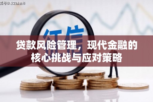南涧贷款风险管理，现代金融的核心挑战与应对策略