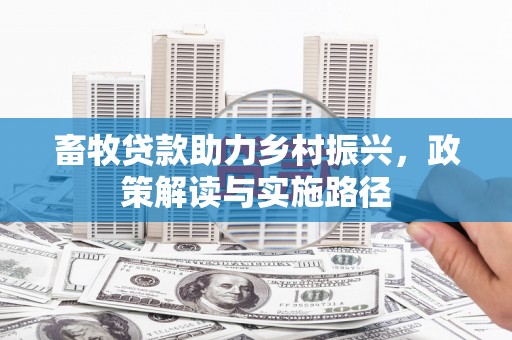 南涧畜牧贷款助力乡村振兴，政策解读与实施路径