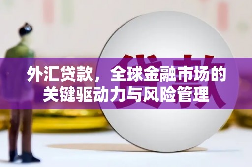 南涧外汇贷款，全球金融市场的关键驱动力与风险管理
