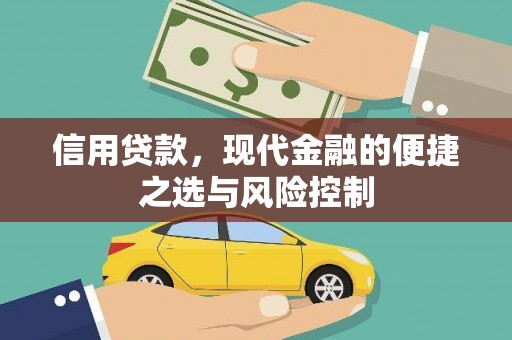南涧信用贷款，现代金融的便捷之选与风险控制