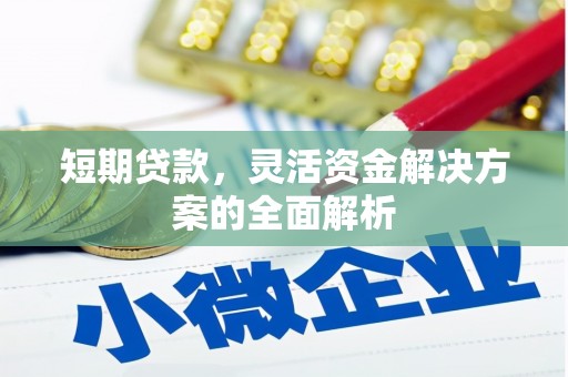 南涧短期贷款，灵活资金解决方案的全面解析
