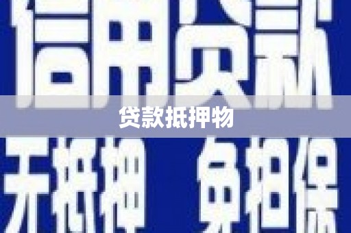 南涧贷款抵押物