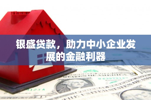 南涧银盛贷款，助力中小企业发展的金融利器