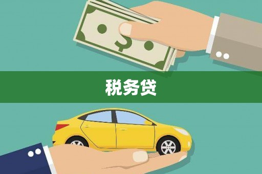 南涧税务贷