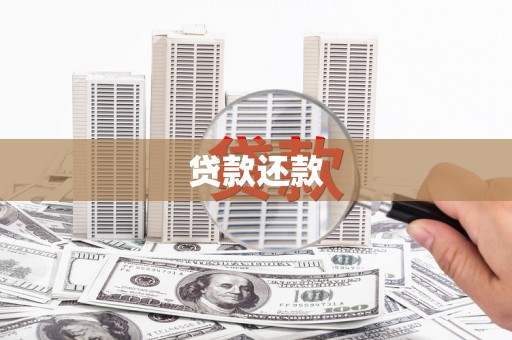南涧贷款还款