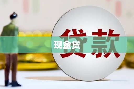 南涧现金贷