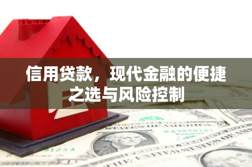 南涧信用贷款，现代金融的便捷之选与风险控制