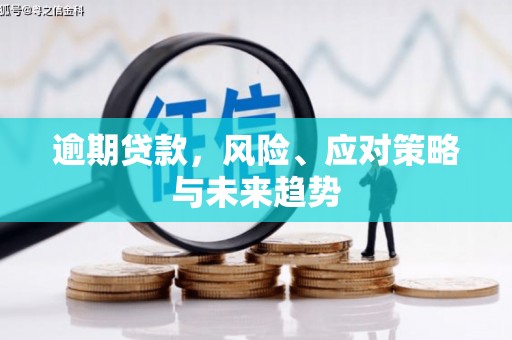 南涧逾期贷款，风险、应对策略与未来趋势