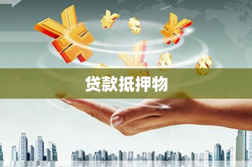 南涧贷款抵押物