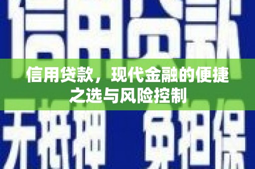 南涧信用贷款，现代金融的便捷之选与风险控制