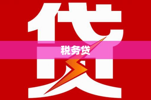 南涧税务贷