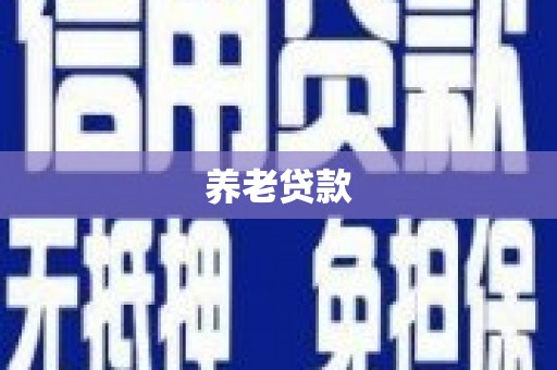 南涧养老贷款