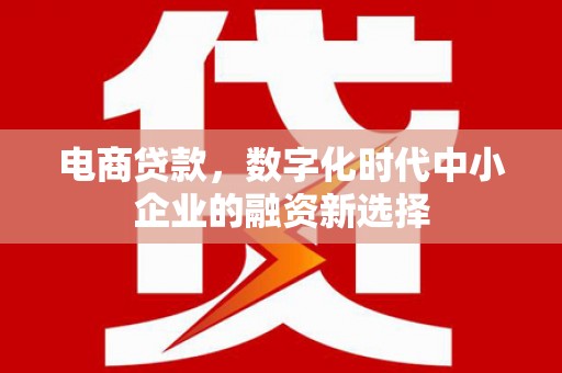 南涧电商贷款，数字化时代中小企业的融资新选择