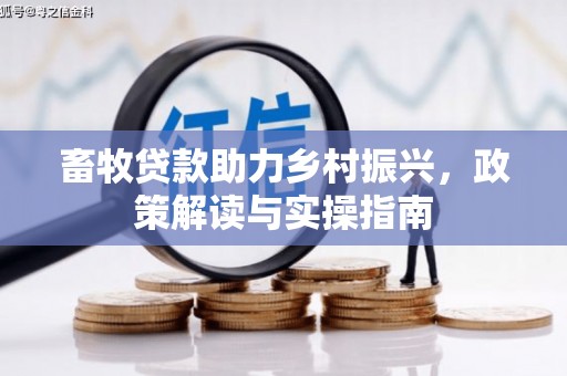 南涧畜牧贷款助力乡村振兴，政策解读与实操指南