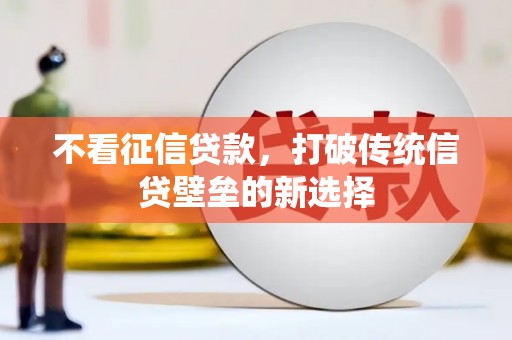 南涧不看征信贷款，打破传统信贷壁垒的新选择