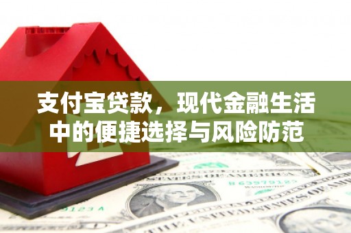 南涧支付宝贷款，现代金融生活中的便捷选择与风险防范