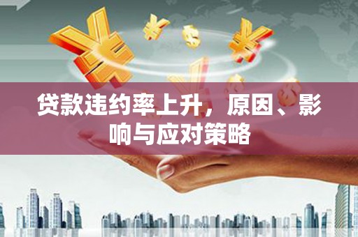 南涧贷款违约率上升，原因、影响与应对策略