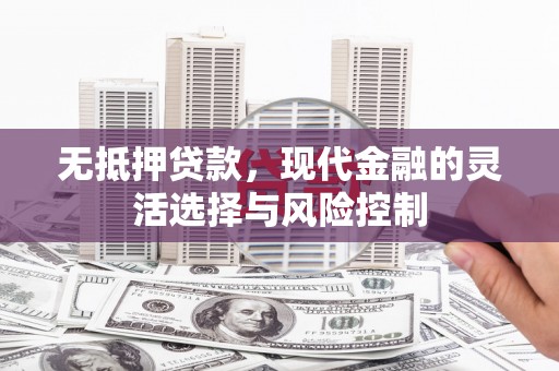 南涧无抵押贷款，现代金融的灵活选择与风险控制
