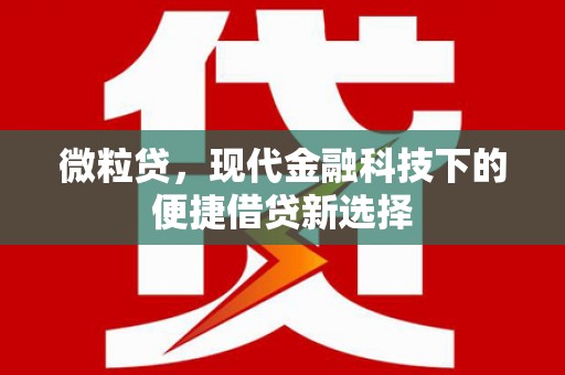 南涧微粒贷，现代金融科技下的便捷借贷新选择