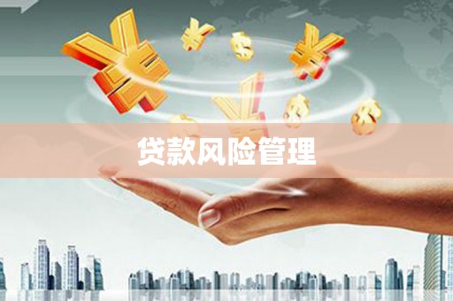 南涧贷款风险管理