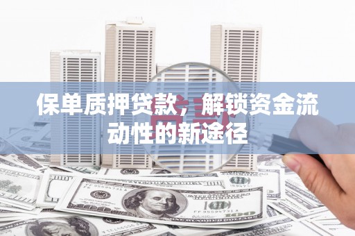 南涧保单质押贷款，解锁资金流动性的新途径