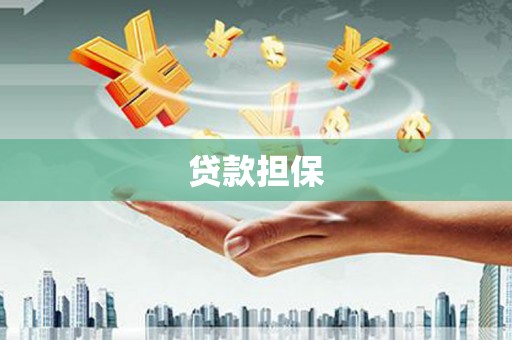 南涧贷款担保