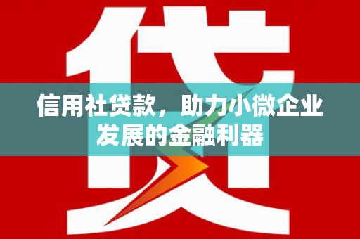 南涧信用社贷款，助力小微企业发展的金融利器