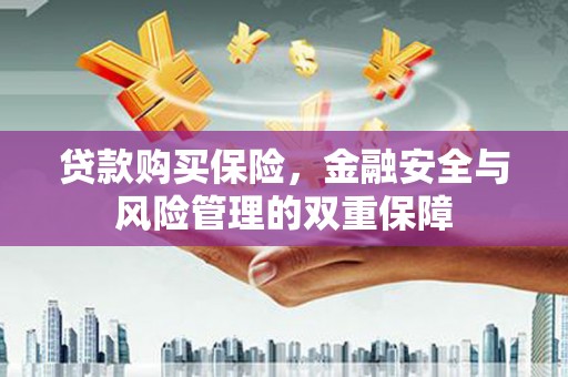 南涧贷款购买保险，金融安全与风险管理的双重保障