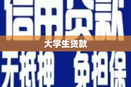 南涧大学生贷款