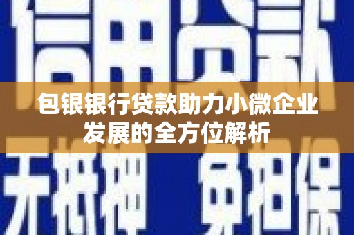 南涧包银银行贷款助力小微企业发展的全方位解析
