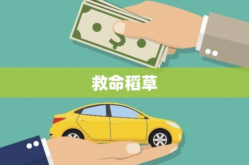 南涧救命稻草