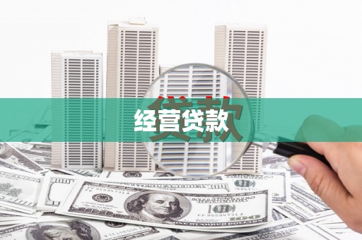 南涧经营贷款