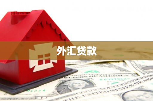 南涧外汇贷款