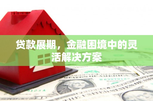 南涧贷款展期，金融困境中的灵活解决方案