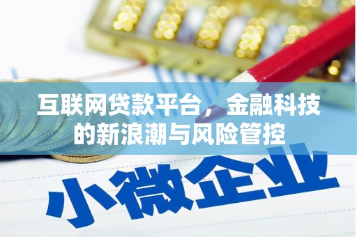 南涧互联网贷款平台，金融科技的新浪潮与风险管控