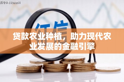 南涧贷款农业种植，助力现代农业发展的金融引擎