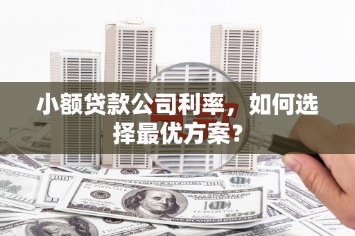 南涧小额贷款公司利率，如何选择最优方案？