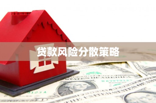 南涧贷款风险分散策略