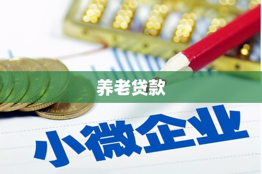南涧养老贷款