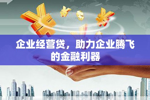 南涧企业经营贷，助力企业腾飞的金融利器