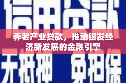 南涧养老产业贷款，推动银发经济新发展的金融引擎