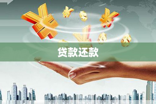 南涧贷款还款