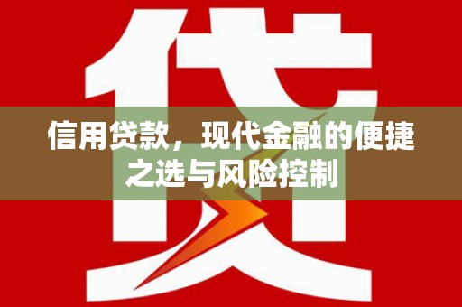 南涧信用贷款，现代金融的便捷之选与风险控制
