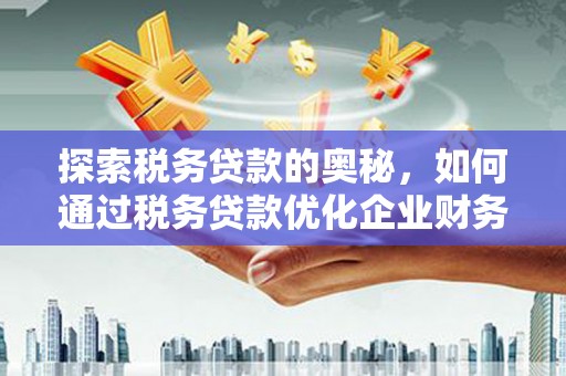 南涧探索税务贷款的奥秘，如何通过税务贷款优化企业财务