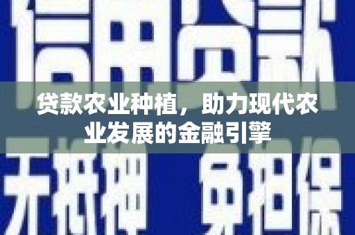 南涧贷款农业种植，助力现代农业发展的金融引擎