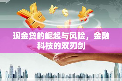 南涧现金贷的崛起与风险，金融科技的双刃剑