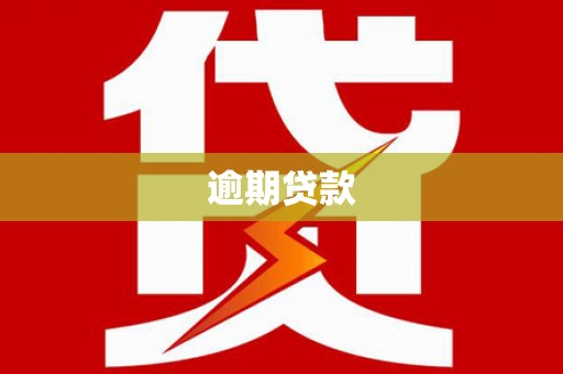 南涧逾期贷款